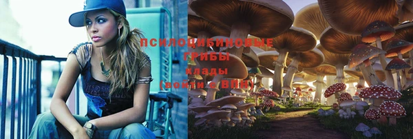 дживик Лихославль
