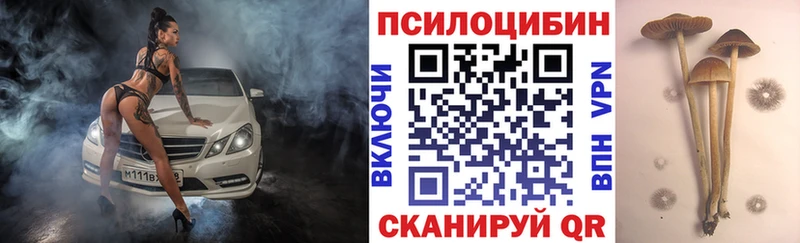 Псилоцибиновые грибы мицелий Петропавловск-Камчатский