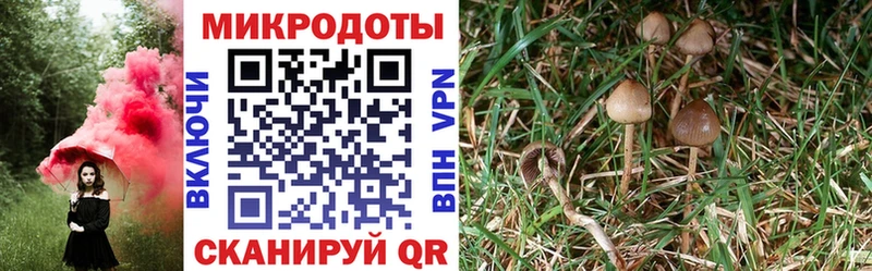 Псилоцибиновые грибы мухоморы Петропавловск-Камчатский